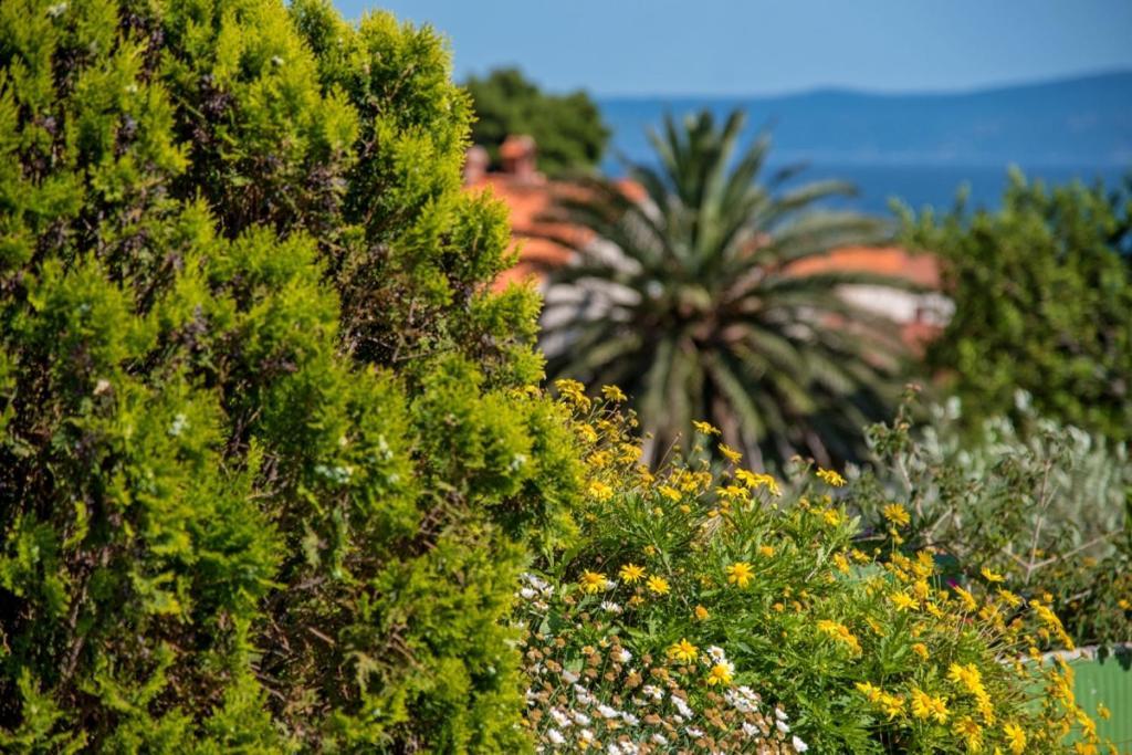 Apartment In Bol With Seaview, Terrace, Air Condition, Wifi Exteriér fotografie